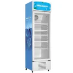Hisense 382L Display Refrigerator | FL-37FC